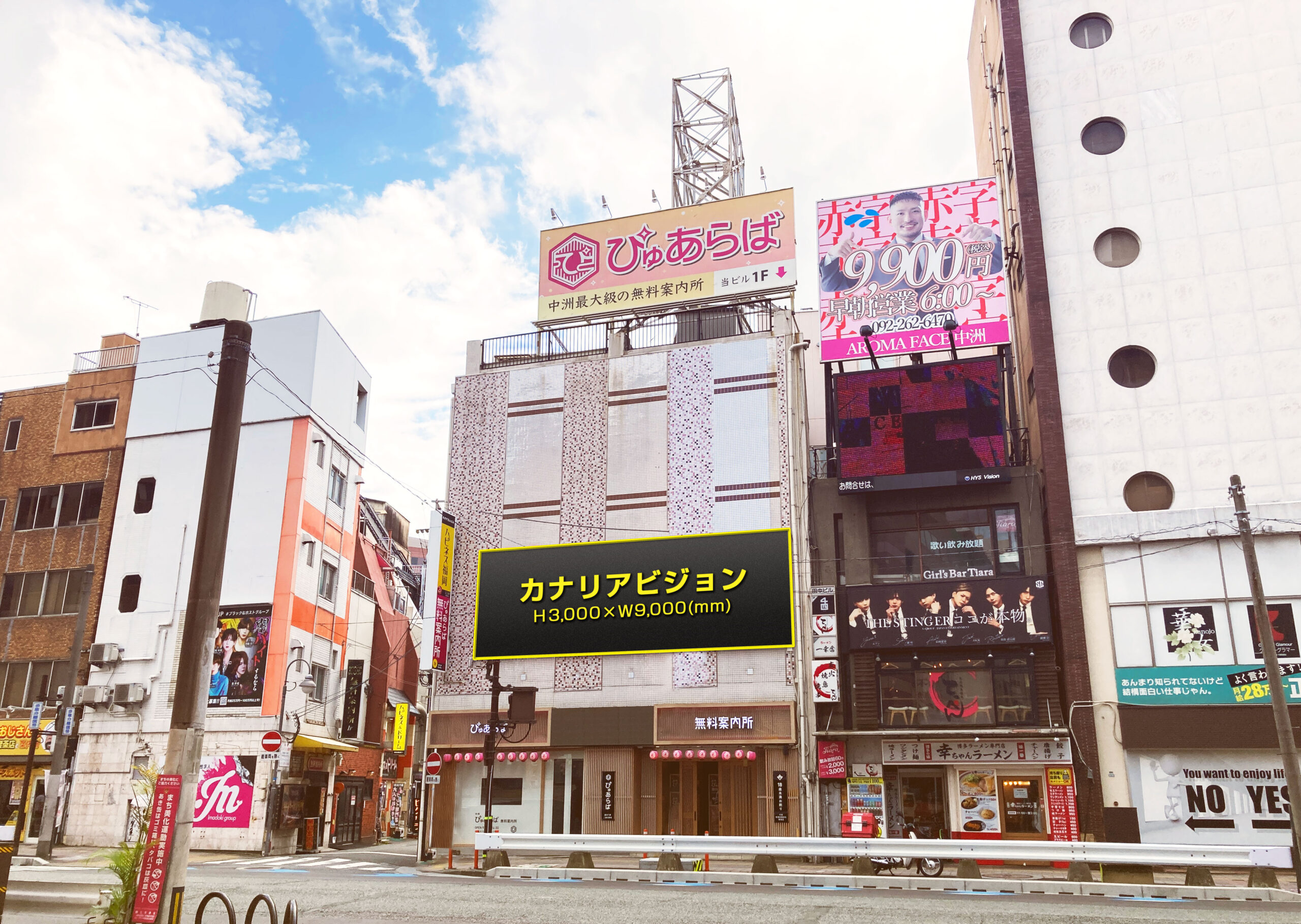カナリアビジョンイメージ